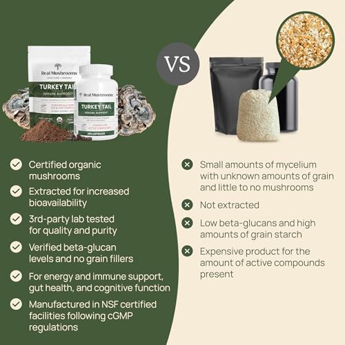 Turkey Tail Mushroom Powder Organic Supplement for Gut, Energy, Brain, and Immune Support J128