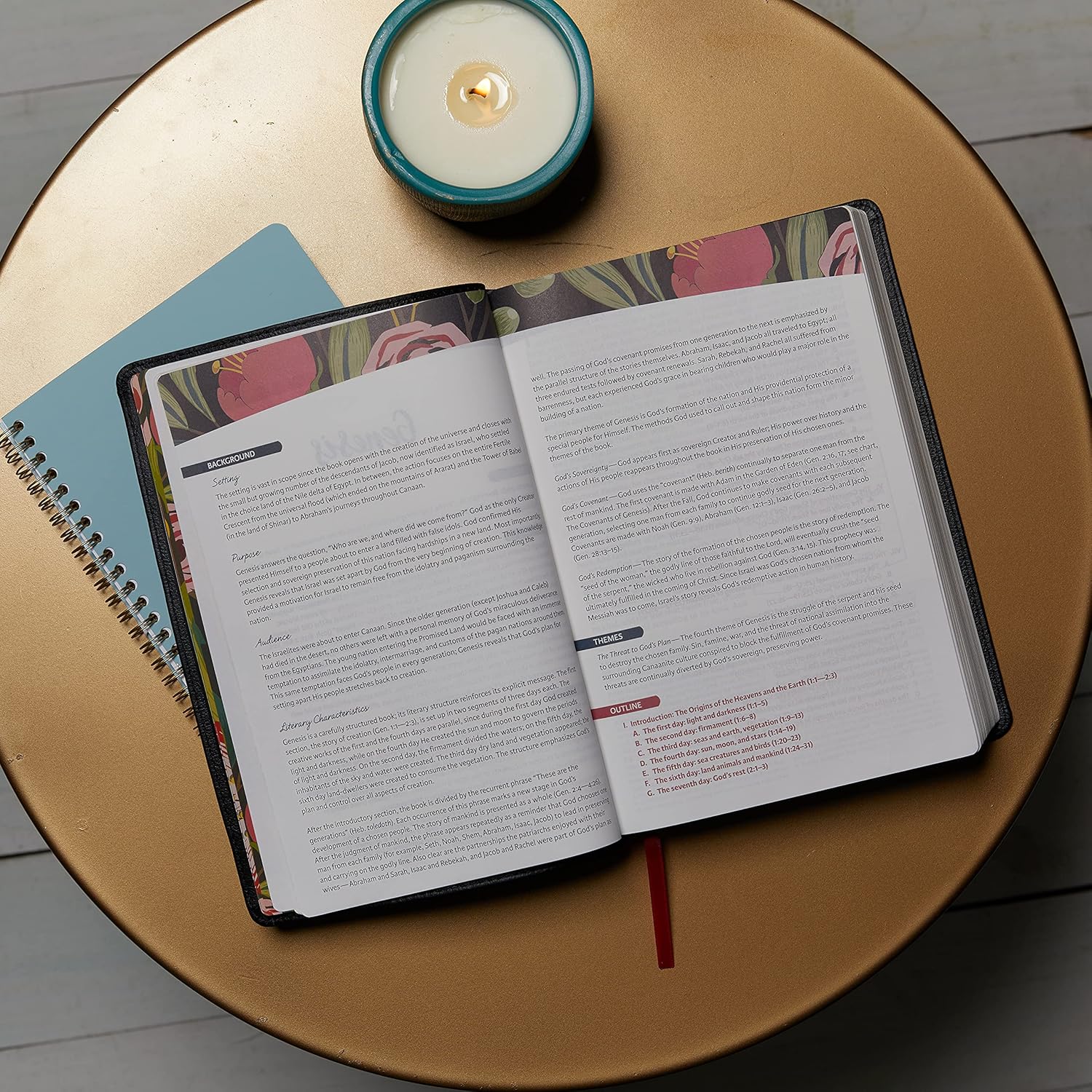 The Woman's Study Bible, Hardcover, Red Letter, Full-Color Edition X343