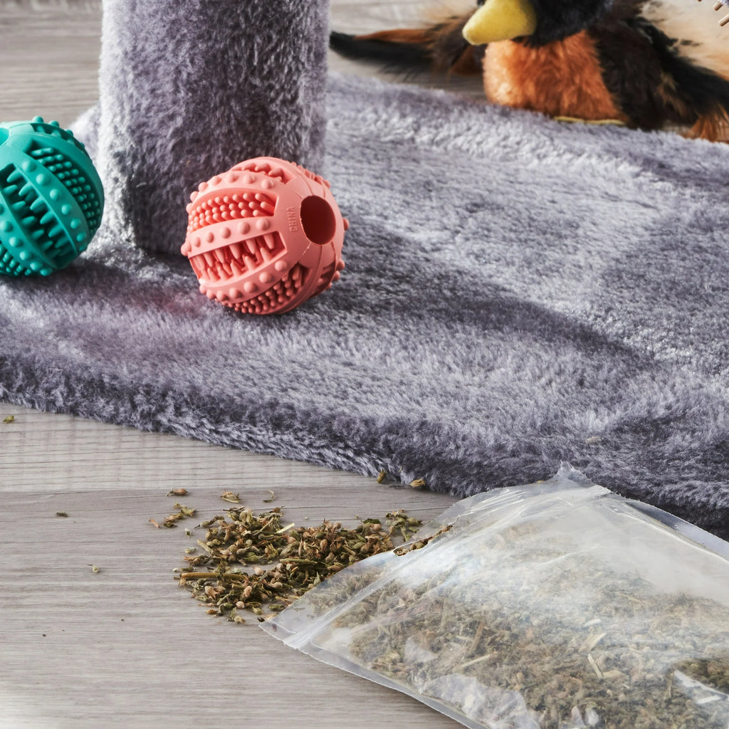 Catnip Blends Collection 3 Pack 0.5 oz F8127