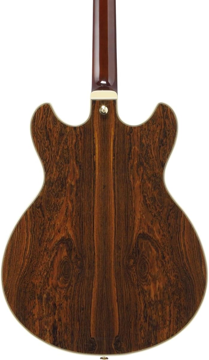 Semi-hollowbody Electric Guitar - Black C949