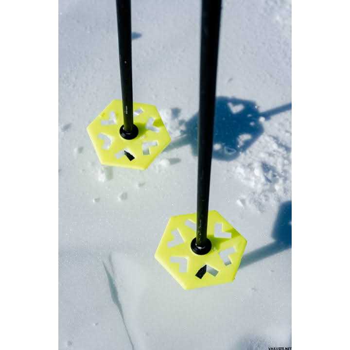 Ski Poles T33387