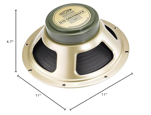 12" Guitar Speaker R874119