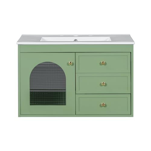 Bathroom Vanity with Sink and 2 Drawers, White N510