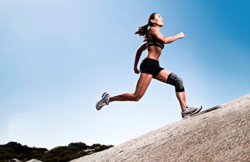 Knee Brace Undersleeve, Large C33497