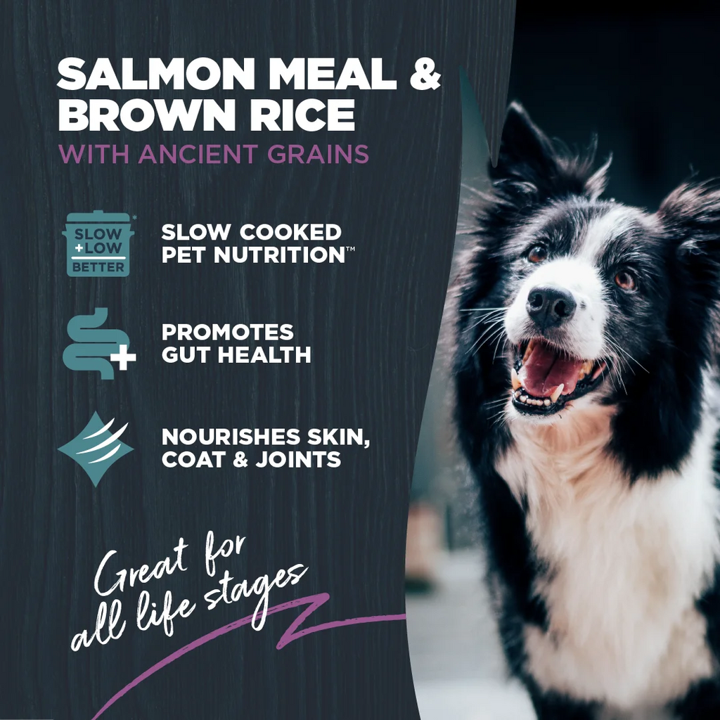 Dry Dog Food Sensitive Skin & Stomach Salmon Meal with Ancient Grains 10 lb. I2755
