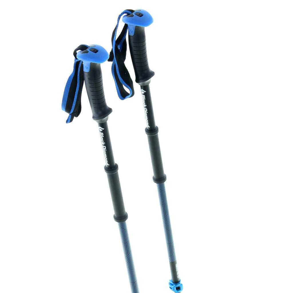 Ski Poles Z803464