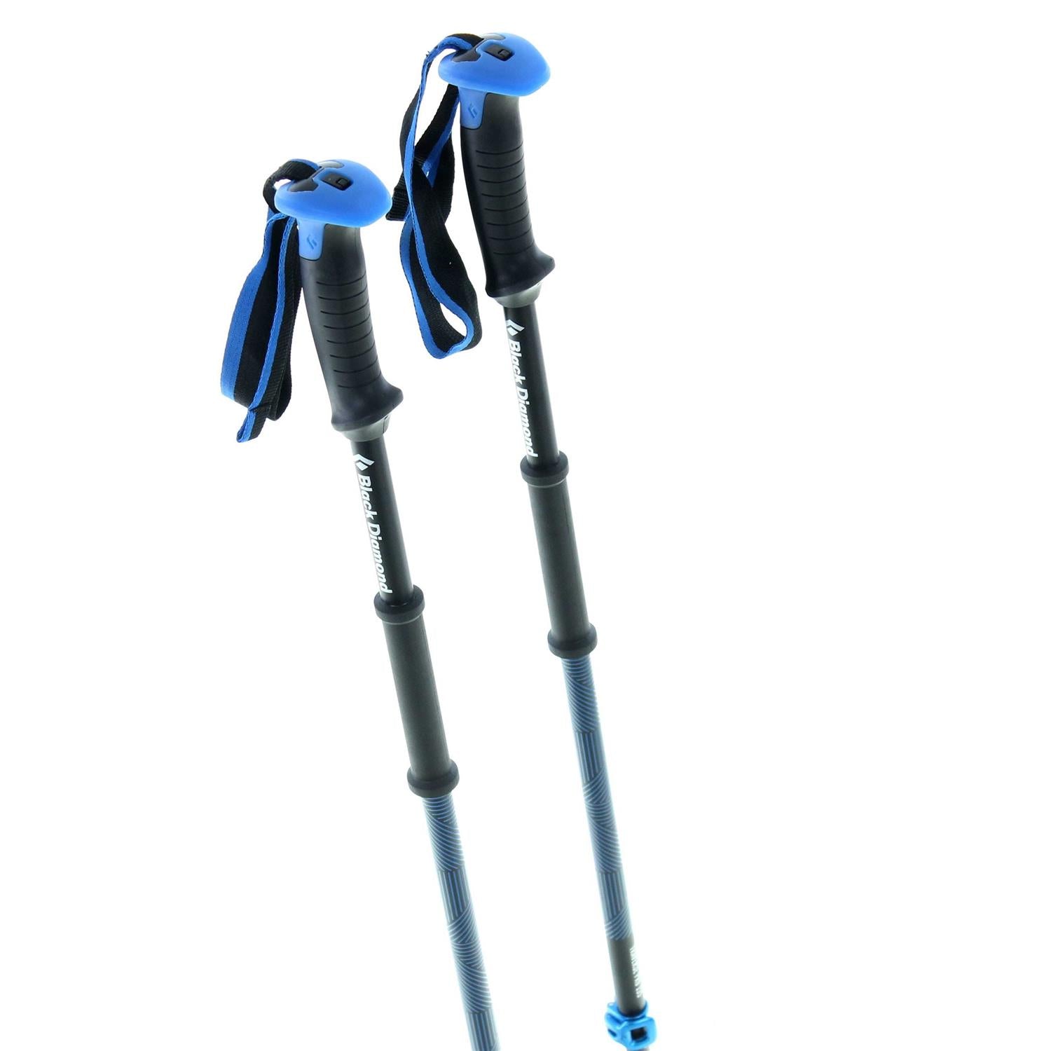 Ski Poles Z803464