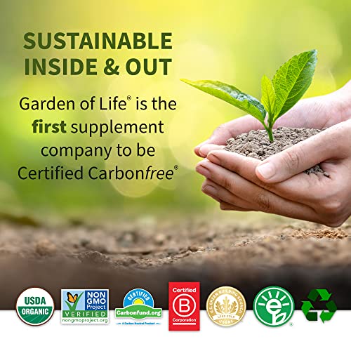 Vanilla Plant Protein Powder with Probiotics and Digestive Enzymes U131796