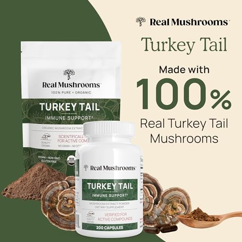 Turkey Tail Mushroom Powder Organic Supplement for Gut, Energy, Brain, and Immune Support J128