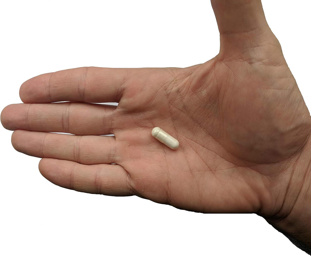 Probiotic & Prebiotic Gut Health Supplement N90539