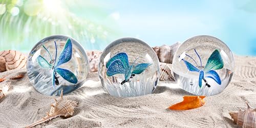 Hand Blown Glass Underwater World Paperweight Y93638