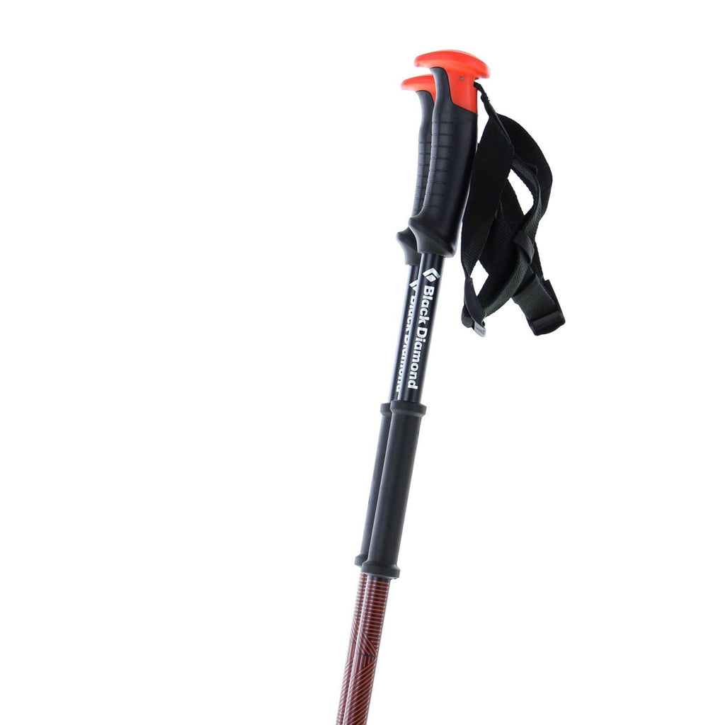 Traverse Ski Poles P2753