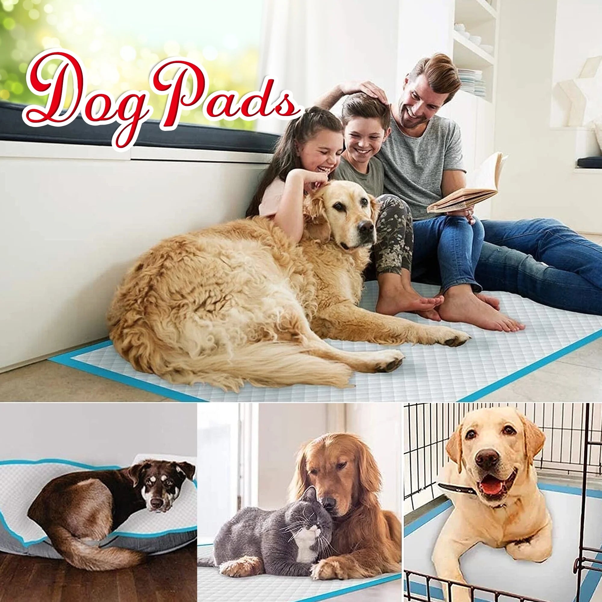 XXL Absorbent Dog Training Pads, 30x36 inch, 100 Count R287