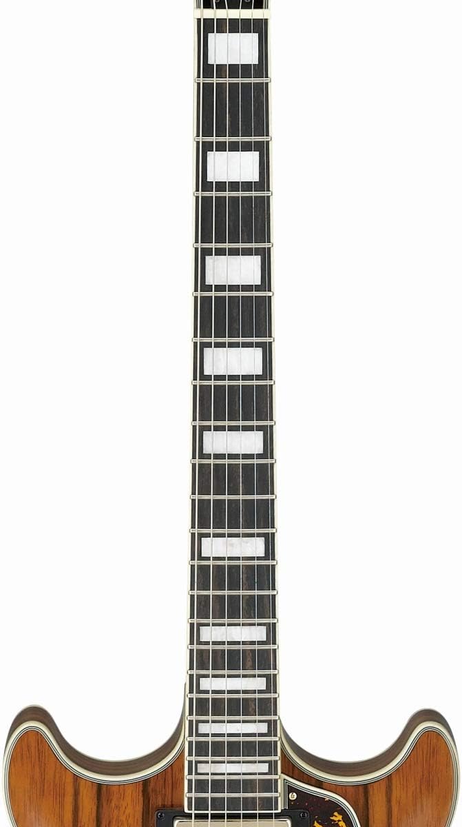 Semi-Hollow Body Electric Guitar with Macassar Ebony Z7455