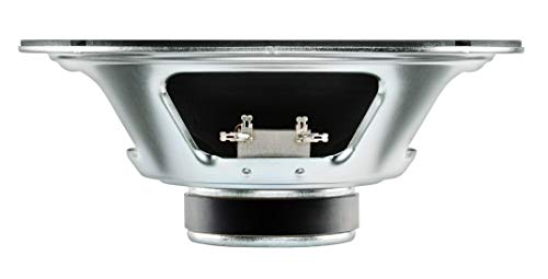 Guitar Speaker 10 inch E25168