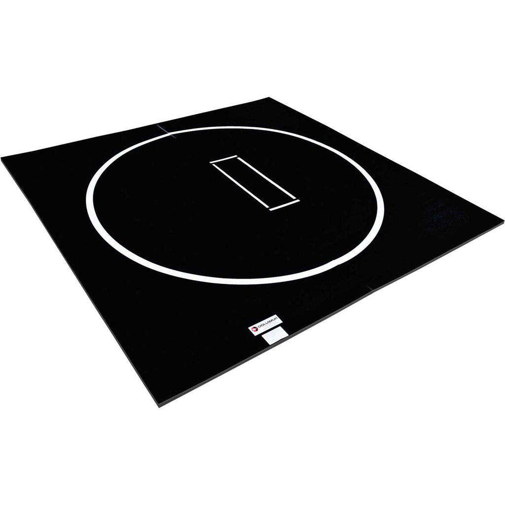 Wrestling Mat 10 x 10 N236042