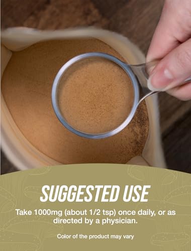 Organic Lion's Mane Mushroom Powder, 1000mg per Serving, 500g R274