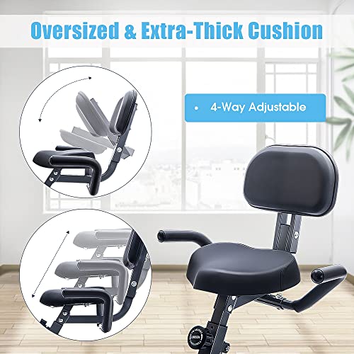 2 in 1 Recumbent and Upright Exercise Bike, 16-Level Magnetic Resistance, Foldable D363