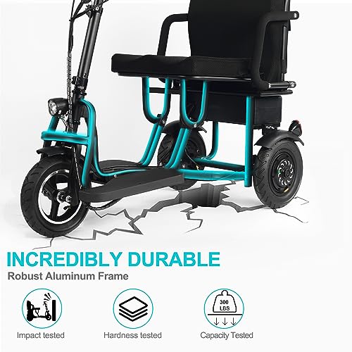 Folding Electric Mobility Scooter 700W Dual Motor E7958