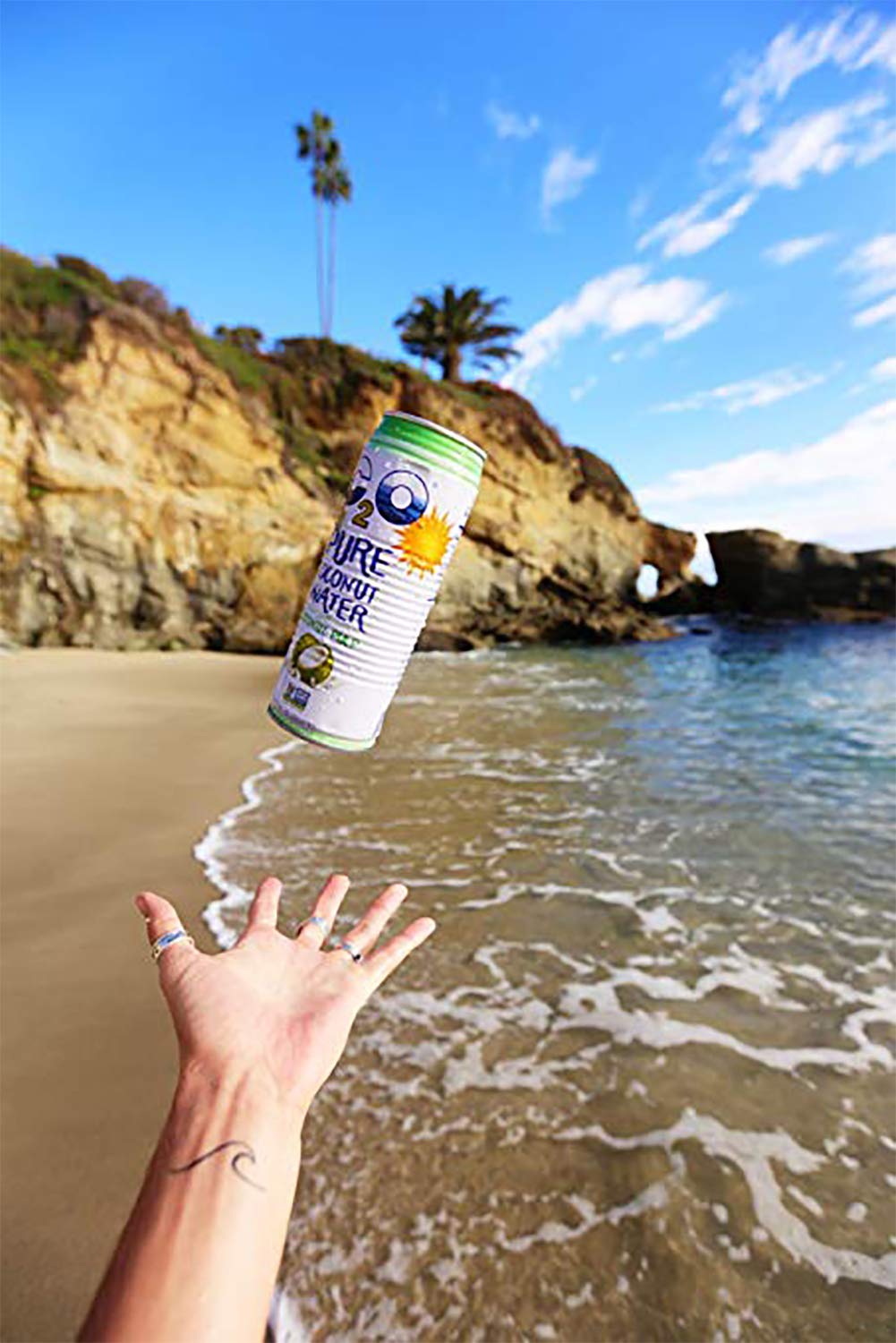 Pure Coconut Water with Pulp, 17.5 fl oz, Pack of 12 Z625