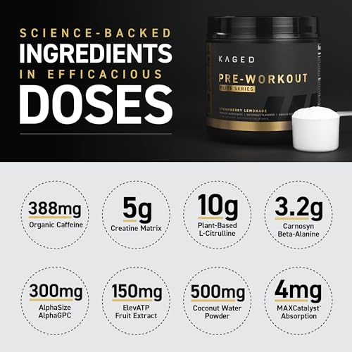 Pre Workout Powder for Men & Women, High Stimulant Energy Focus, Fruit Punch, 20 Servings F282286