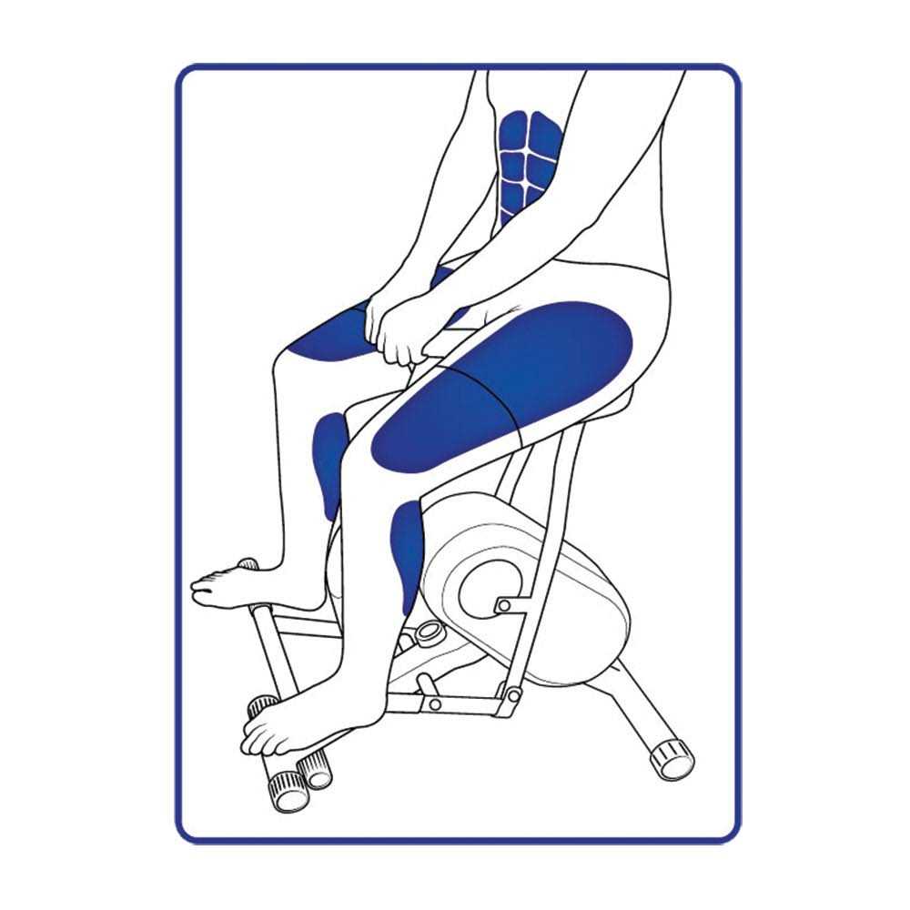 Core Exerciser for Rodeo Training X9407