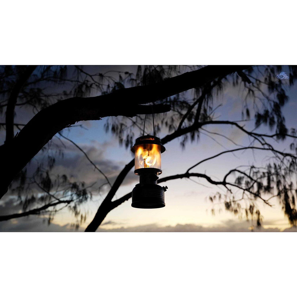 Dual Fuel Lantern D417267