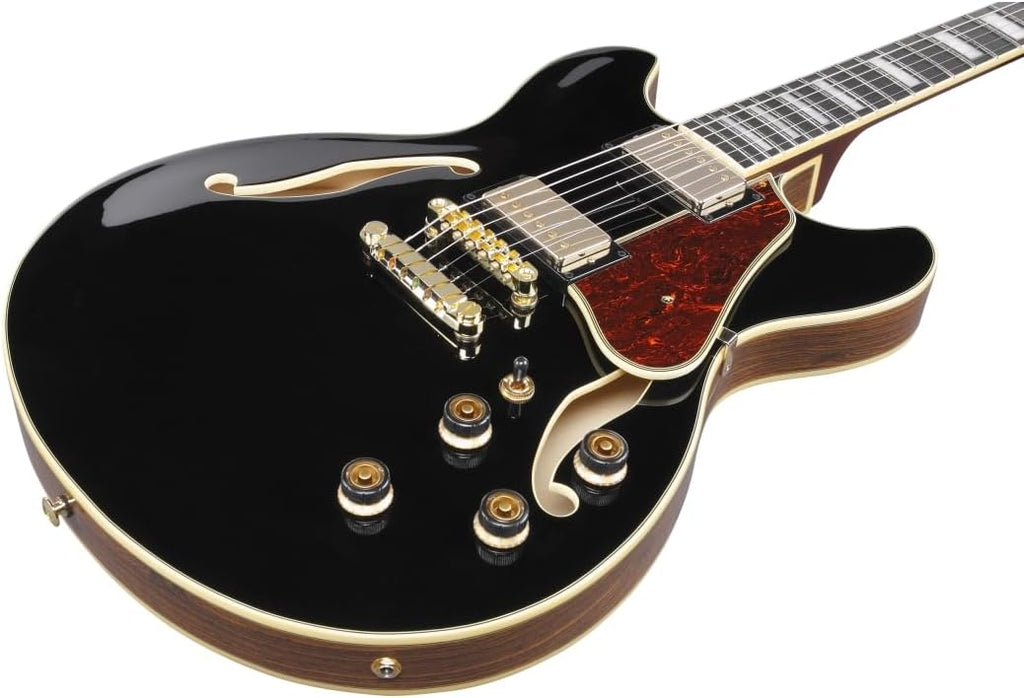Semi-hollowbody Electric Guitar - Black C949