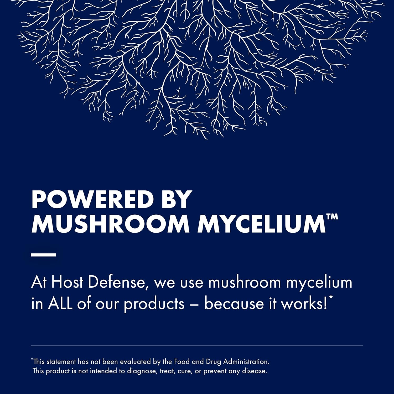 MyCommunity Powder - 17 Species Mushroom Supplement for Immune Support - 100g Z376