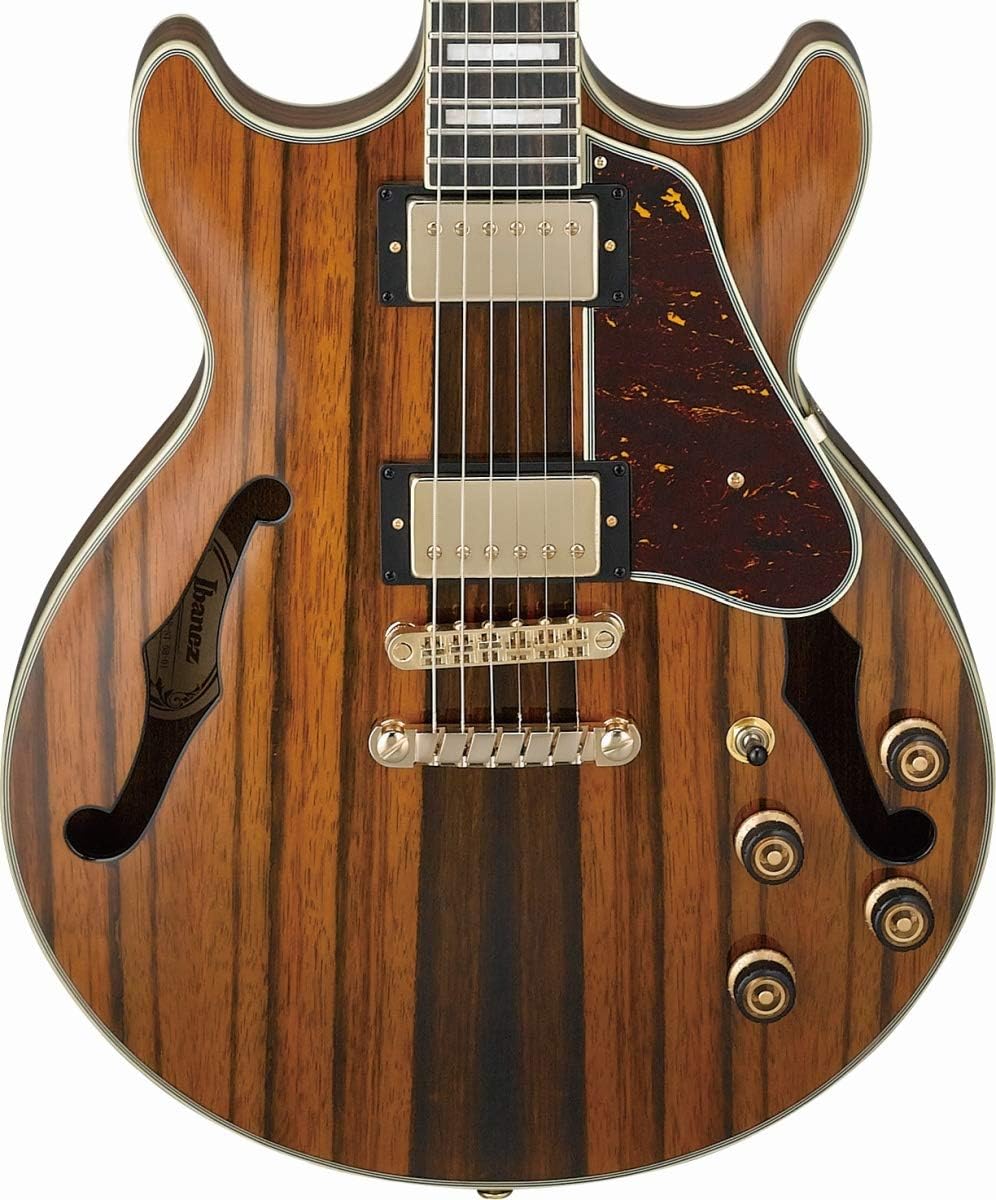 Semi-Hollow Body Electric Guitar with Macassar Ebony Z7455
