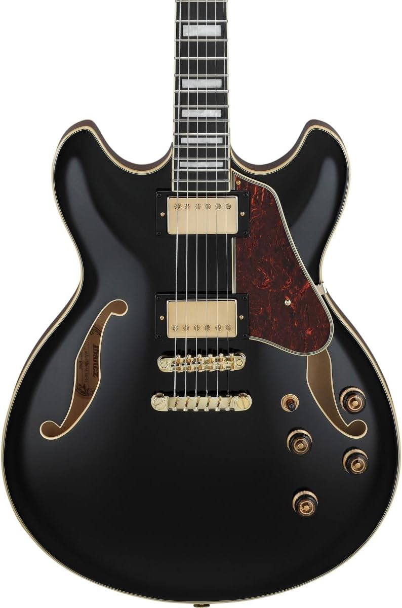 Semi-hollowbody Electric Guitar - Black C949