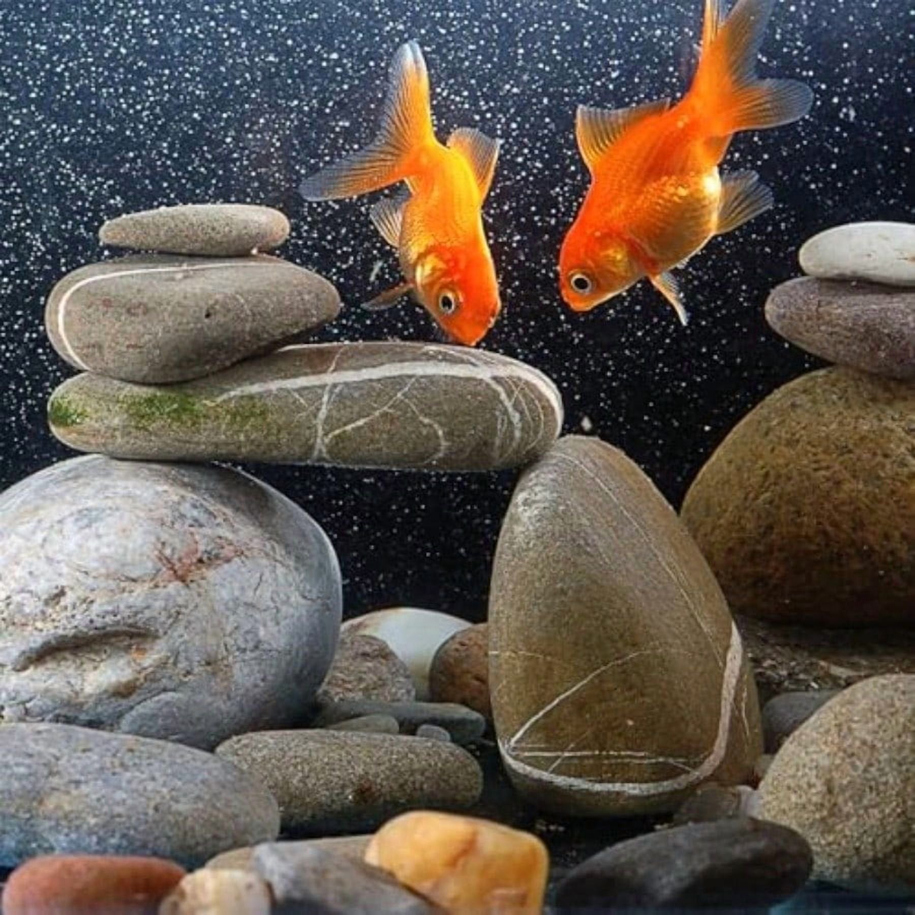 40 lbs River Rocks for Landscaping Decorative Garden Stones N934576