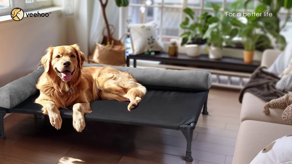 Elevated Dog Bed for Extra Large Dogs, Portable Cooling Cot with Washable Mesh O9973