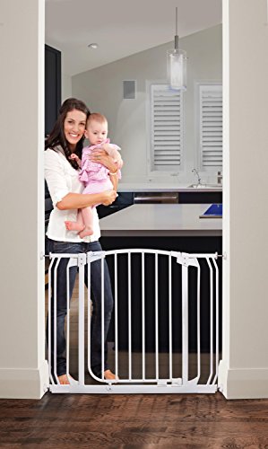 Auto Close Security Gate Value Pack with 2 Extensions H7292