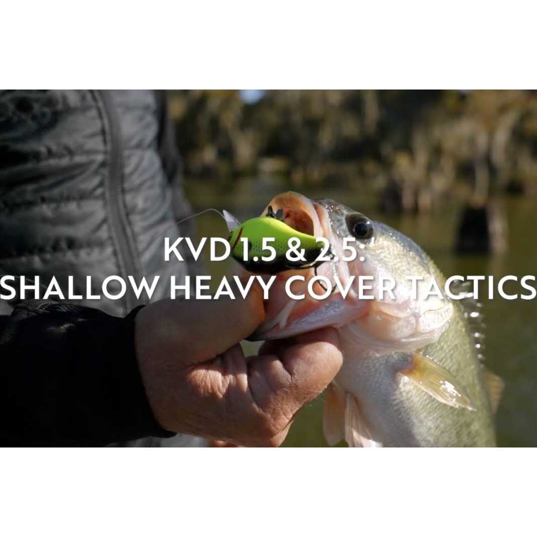 Baitcast Reel X976035
