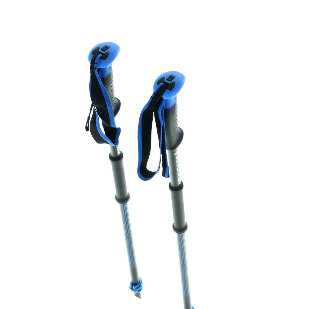 Ski Poles Z803464