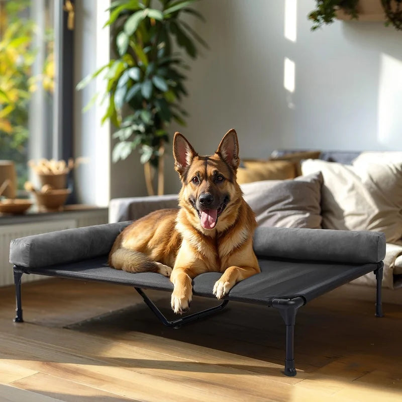 Elevated Dog Bed for Extra Large Dogs, Portable Cooling Cot with Washable Mesh O9973
