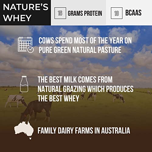Grass-Fed Whey Protein, Cold Process, Unflavored S246