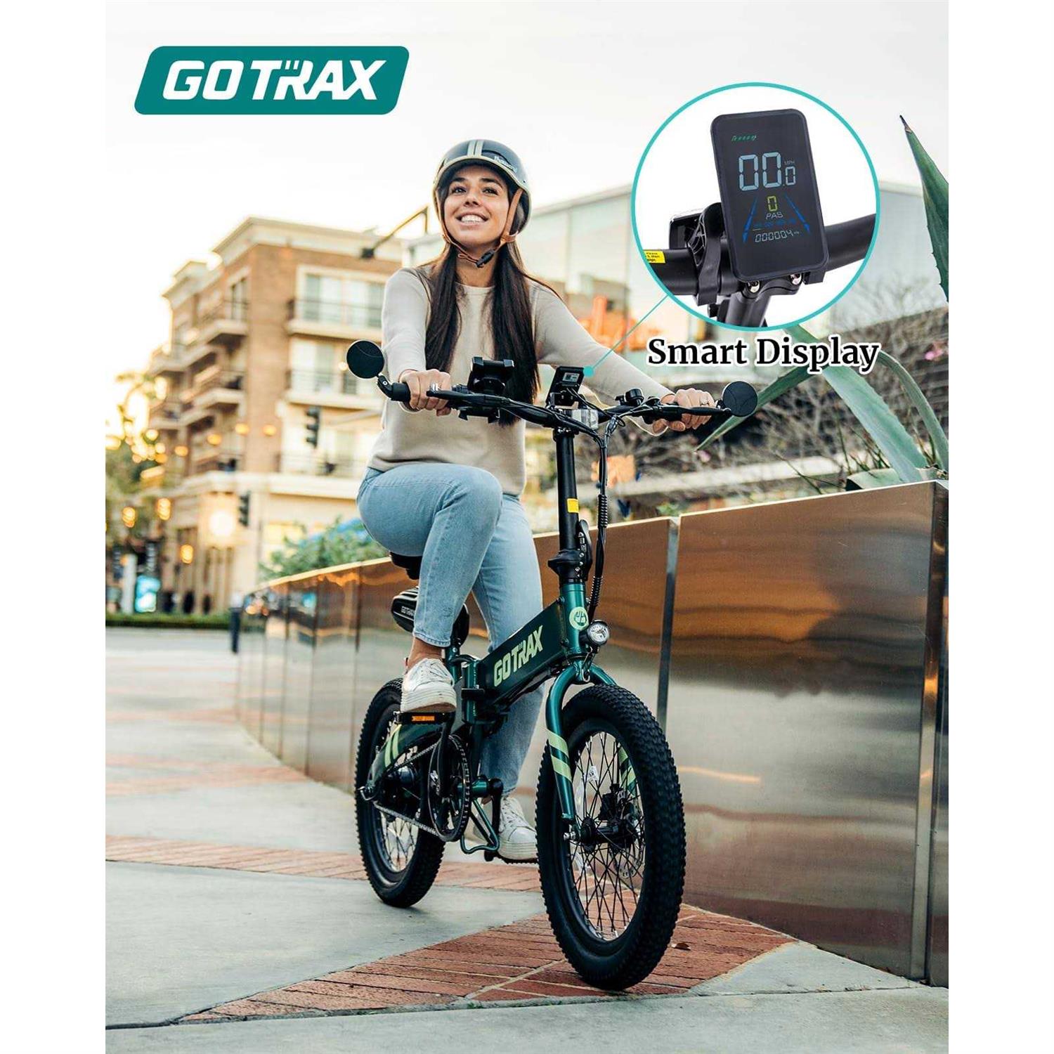 Folding Electric Bike C24242