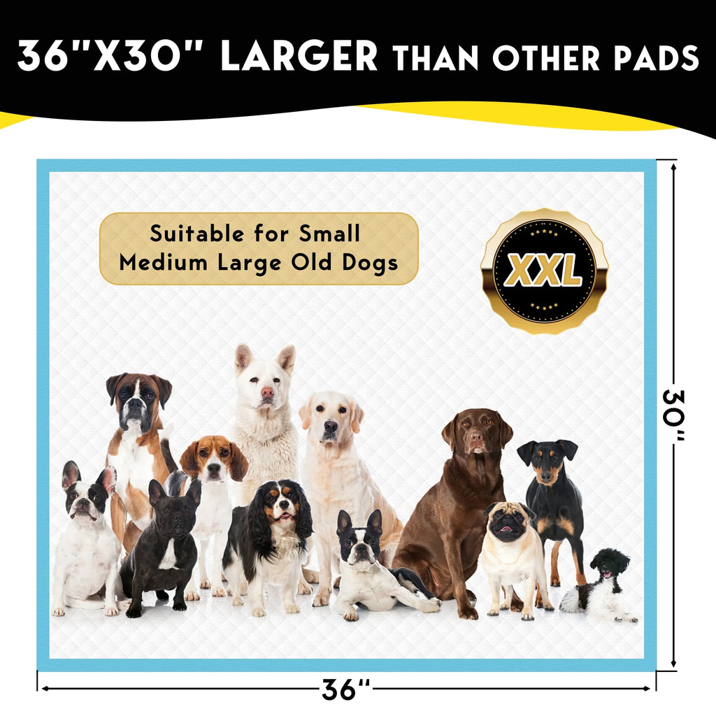 XXL Absorbent Dog Training Pads, 30x36 inch, 100 Count R287