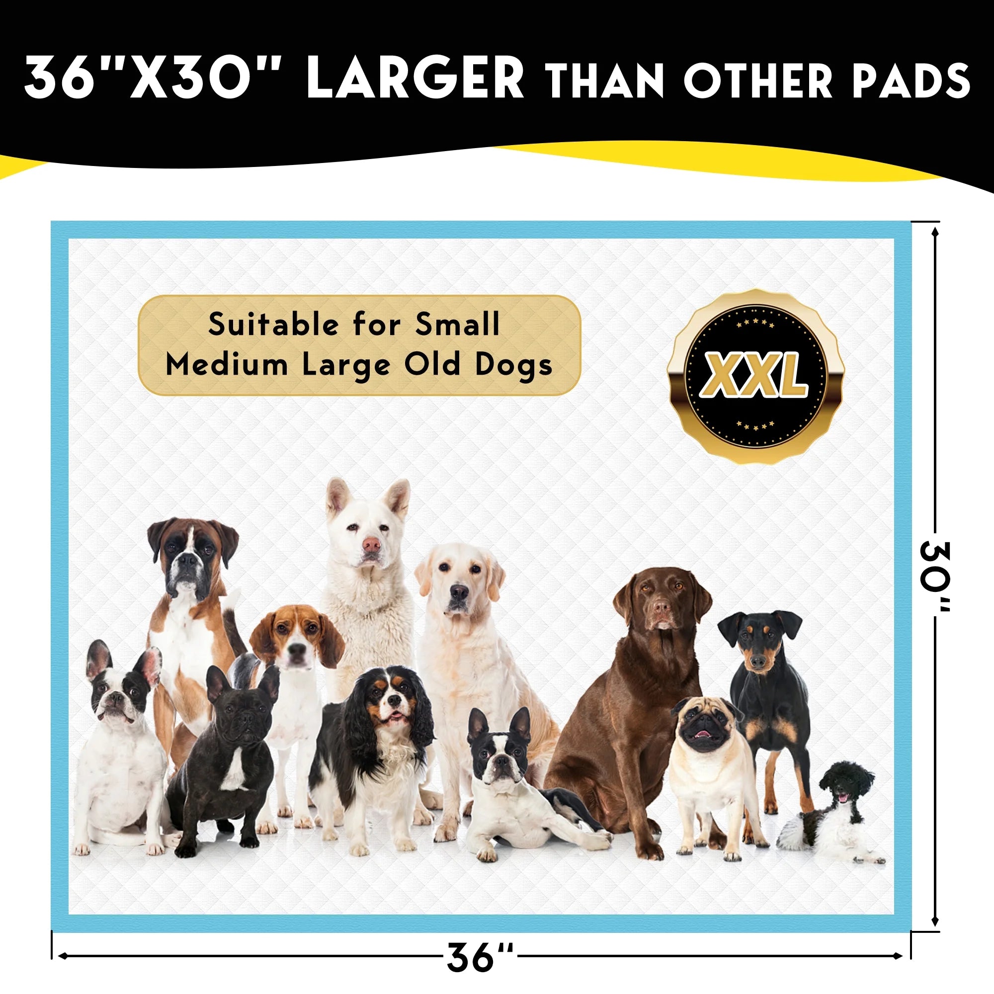 XXL Absorbent Dog Training Pads, 30x36 inch, 100 Count R287