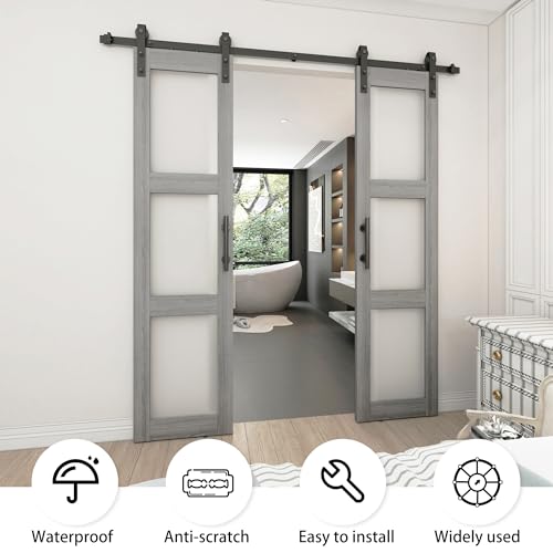Double Glass Barn Door with Frosted Glass and Sliding Hardware Kit O861