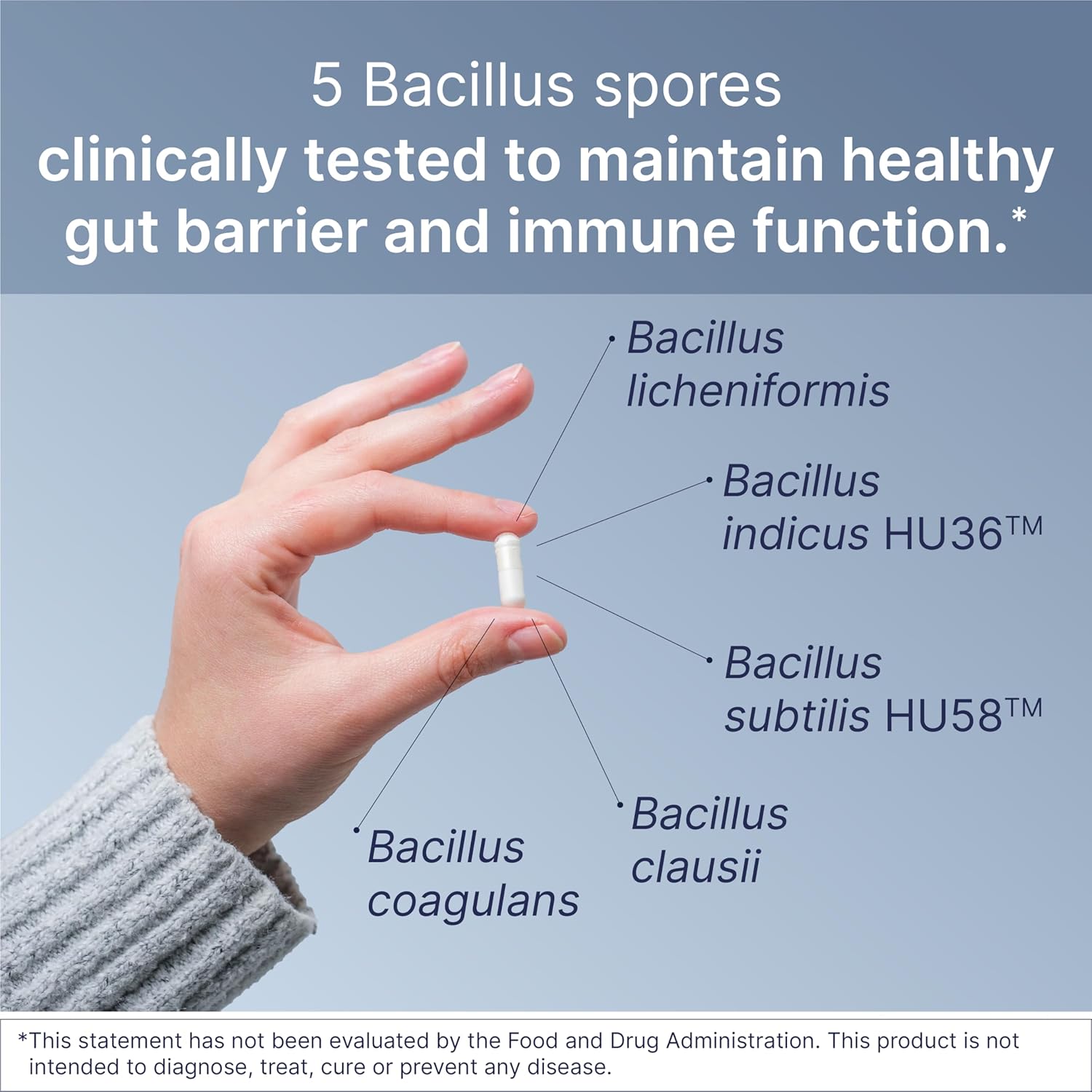 Probiotic and Gut Mucosal Support Bundle with Spore-Based Probiotic and Amino Acids S66018