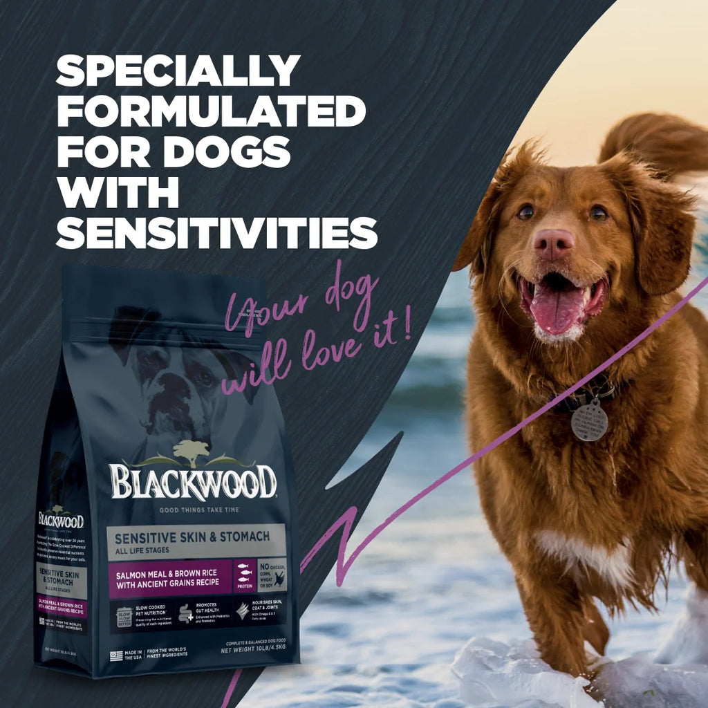Dry Dog Food Sensitive Skin & Stomach Salmon Meal with Ancient Grains 10 lb. I2755